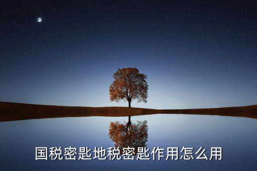地稅密鑰是干什么的，國稅密匙地稅密匙作用怎么用