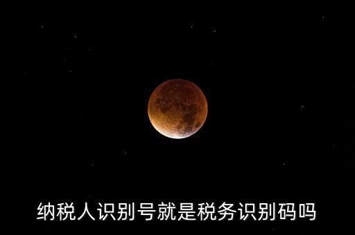 稅務(wù)標(biāo)識(shí)符是什么意思，納稅人識(shí)別碼是什么