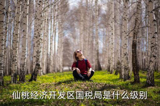 仙桃稅務(wù)局局長是什么級別，仙桃經(jīng)濟開發(fā)區(qū)國稅局是什么級別