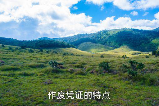 什么樣的憑證可作廢，作廢憑證的特點(diǎn)
