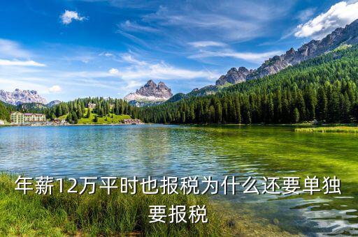 為什么個稅要單獨申報客戶端，為什么個人所得稅是要獨立下載申報軟件的