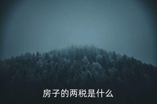兩稅清查是指什么，房子的兩稅是什么