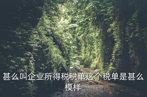 企業(yè)所得稅稅單是什么，稅單是什么怎樣提供稅單