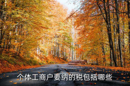 個體戶需要交什么稅，個體工商戶需要鈉哪些稅呢