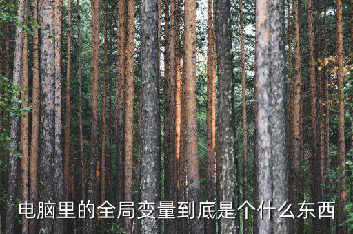全局是什么意思，什么是指導(dǎo)全局工作決定全局命運的方針方式和計劃