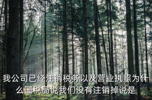 我公司已經(jīng)注銷稅務(wù)以及營(yíng)業(yè)執(zhí)照為什么國(guó)稅局說(shuō)我們沒(méi)有注銷掉說(shuō)是