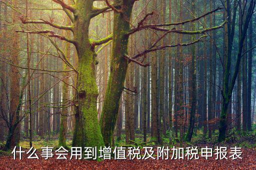 什么是附加稅申報(bào)表，增值稅及附加稅費(fèi)申報(bào)表怎么填