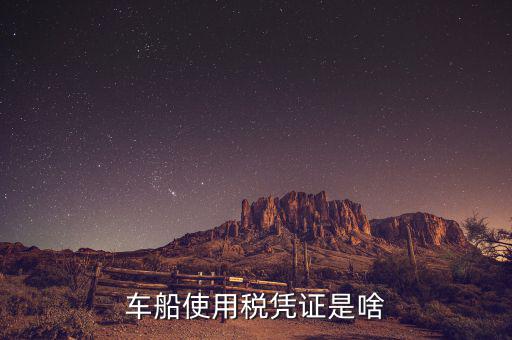 車船稅繳納憑證是什么意思，車船使用稅憑證是啥
