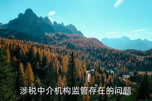 社會(huì)組織涉稅方面有什么問(wèn)題，涉稅中介機(jī)構(gòu)監(jiān)管存在的問(wèn)題
