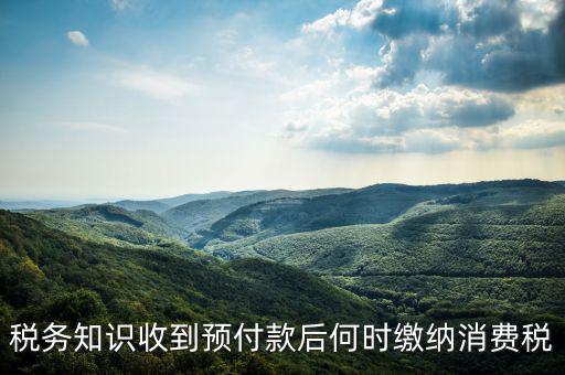 消費(fèi)稅是什么時(shí)候交，各種稅費(fèi)交納時(shí)間