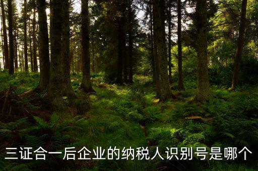 三證合一的納稅人識別號是什么，三證合一后企業(yè)的納稅人識別號是哪個