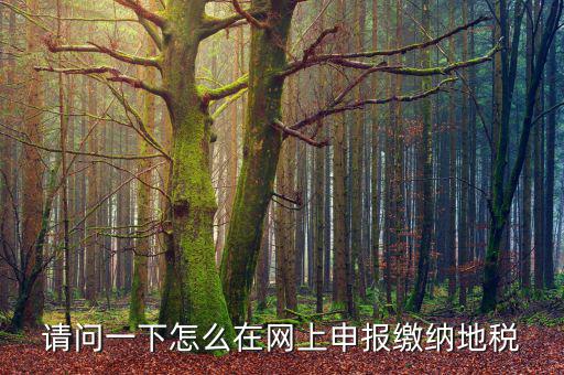 地稅個稅網(wǎng)址是什么，如何查詢個人所得稅明細