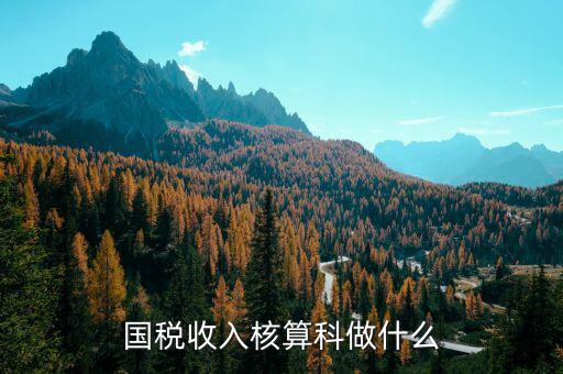收入規(guī)劃核算處做什么的，收入核算是做什么的