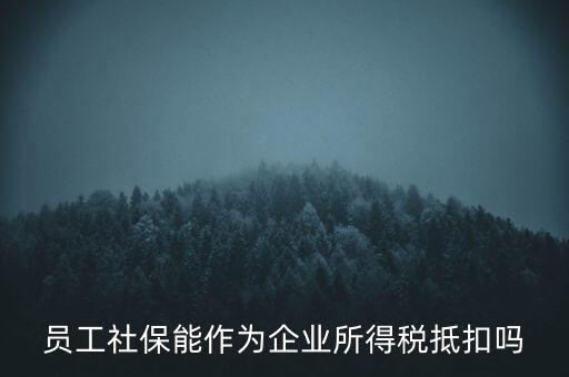 企業(yè)社保可以抵什么稅，員工社保能作為企業(yè)所得稅抵扣嗎