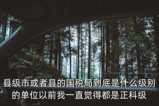 縣國稅局辦稅服務(wù)廳主任是什么級(jí)別，縣地稅局辦公室主任是什么行政級(jí)別