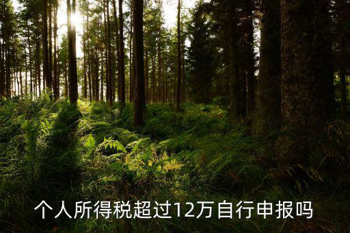 個人所得稅超過12萬自行申報(bào)嗎