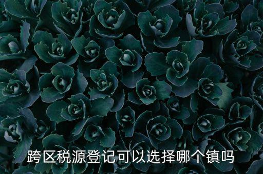 跨區(qū)稅源登記是什么，跨區(qū)稅源登記能否登記為一般納稅人