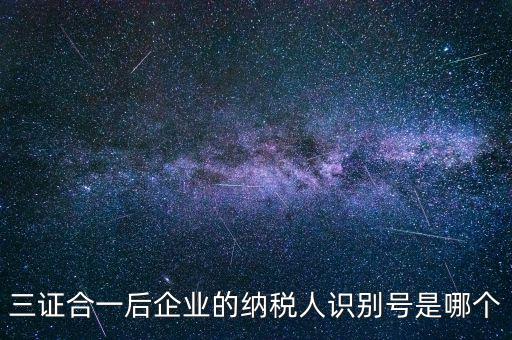 三證合一后企業(yè)的納稅人識別號是哪個(gè)