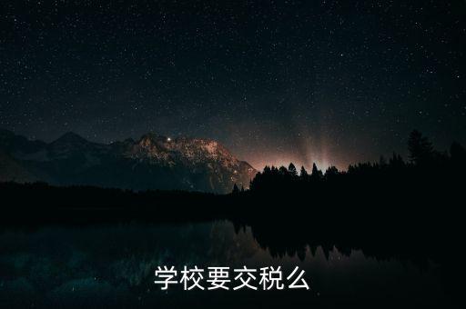 民辦學(xué)校交什么稅，你好我想問問民辦學(xué)?？梢砸髮W(xué)生補(bǔ)課嗎把補(bǔ)課的錢作為必交費(fèi)