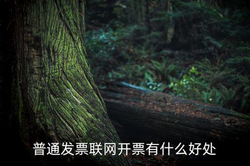 普通網(wǎng)絡(luò)發(fā)票有什么用，開普通發(fā)票網(wǎng)絡(luò)受理號有什么作用