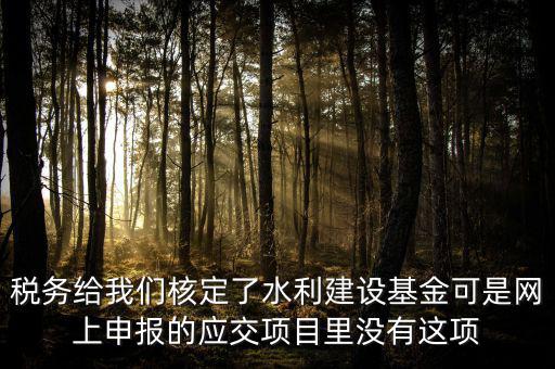 為什么水利建設(shè)無法申報(bào)，地稅電子稅務(wù)局的水利基金下滑找不到申報(bào)怎么辦