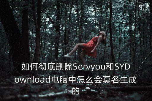 Servyou是什么文件夾，怎么刪除這個稅友軟件每次開機就自動運行而且不知道他的文件