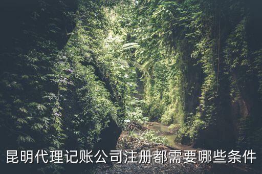 昆明報(bào)稅要什么條件，httpswwwkmgsgovcn 我是一個(gè)新客戶要怎樣才能進(jìn)入昆明國稅局