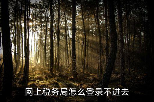 網(wǎng)上稅務局怎么登錄不進去