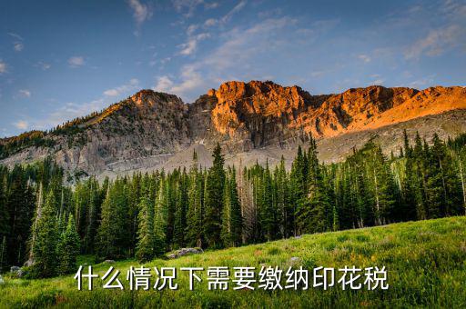 什么需要交印花稅，哪些企業(yè)和個人需要交納印花稅的