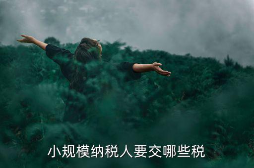 小規(guī)模納稅人報什么稅，小規(guī)模納稅人要交哪些稅