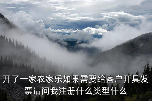 我要是以開普票為主 注冊什么性質(zhì)的公司好，開了一家農(nóng)家樂如果需要給客戶開具發(fā)票請問我注冊什么類型什么