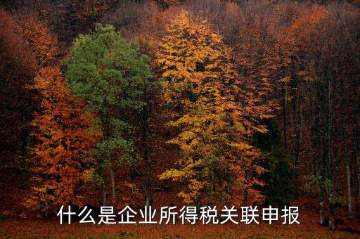 稅務(wù)關(guān)聯(lián)表是什么意思，所得稅中關(guān)聯(lián)關(guān)系是什么意思