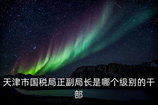 天津市國稅局正副局長是哪個(gè)級別的干部