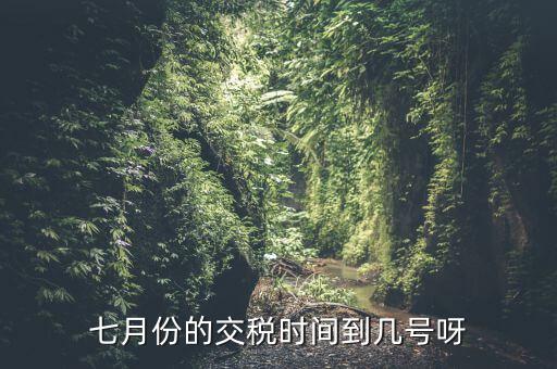 福建地稅7月報(bào)稅到什么時(shí)候，請(qǐng)問7月份國稅地稅的征期截止到哪天