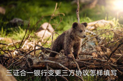 三證合一簽三方需要填什么，三證合一銀行變更三方協(xié)議怎樣填寫