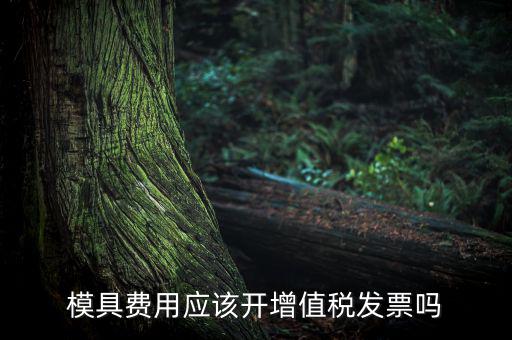 模具設(shè)計開發(fā)費開什么發(fā)票，模具開發(fā)及制造費一般開什么發(fā)票明細(xì)