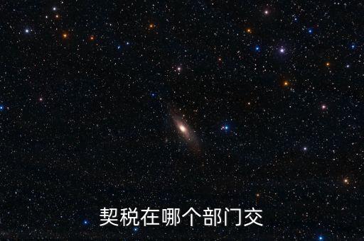 契稅在哪個(gè)部門(mén)交