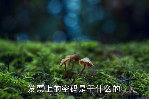 湖南汽車發(fā)票密碼是什么意思，發(fā)票上的密碼是做什么用的啊