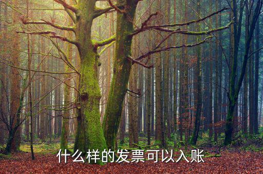 都什么發(fā)票可以走賬，什么樣的發(fā)票才可以走帳