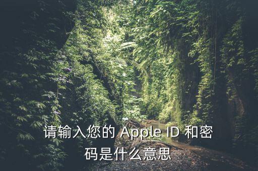 查詢個稅 密碼是輸入什么，請輸入您的 Apple ID 和密碼是什么意思
