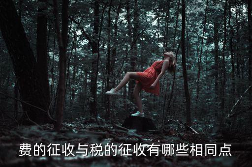 稅與費(fèi)有什么區(qū)別 稅收具有，費(fèi)的征收與稅的征收有哪些相同點(diǎn)