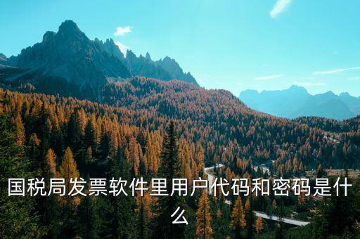 湖南汽車發(fā)票密碼是什么，國稅局發(fā)票軟件里用戶代碼和密碼是什么