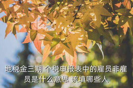 雇員納稅人是什么意思，地稅金三期 個稅申報表中的雇員非雇員是什么意思 該填哪些人