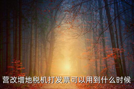 地稅發(fā)票能用到什么時(shí)候，納稅人已領(lǐng)取地稅機(jī)關(guān)印制的發(fā)票可以使用到什么時(shí)候
