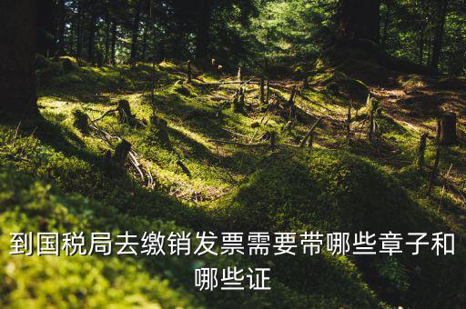 繳銷(xiāo)出口商品統(tǒng)一發(fā)票要蓋什么章，到國(guó)稅局去繳銷(xiāo)發(fā)票需要帶哪些章子和哪些證