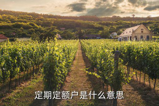 什么叫非定期定額戶，什么是增值稅小規(guī)模非定期定額戶納稅人