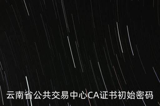 ca證書的原始密碼是什么意思，云南省公共交易中心CA證書初始密碼
