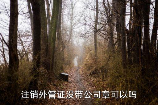 注銷(xiāo)外管證沒(méi)帶公司章可以嗎