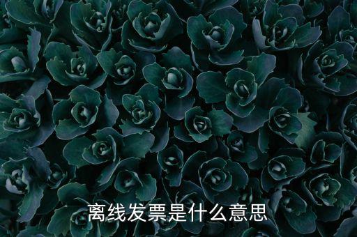 離線開票什么意思，離線發(fā)票是什么意思
