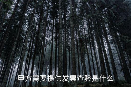 發(fā)票查詢驗(yàn)是什么意思，發(fā)票驗(yàn)證是什么意思